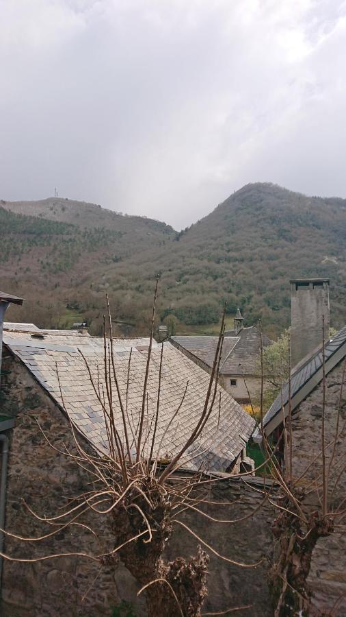 Appartement dans ancienne maison pyrénéenne. Cadéac Esterno foto